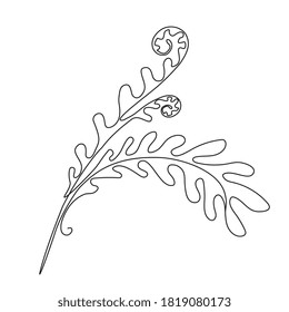 Una Línea Dibujando Feroe Leaf Twig. Hoja mínima de un dibujo de una línea de árbol de palmas en el estilo de dibujo, dibujo continuo de línea, ilustración del vector tropical