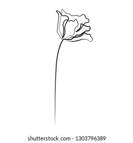One line drawing flower, vector illustration