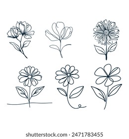 One Line Drawing of Flower Vector, Botanical arts. Hand drawn continuous line drawing of abstract flower, floral, ginkgo, rose, tulip, bouquet of olives. Vector illustration.