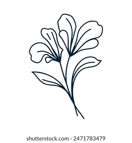 One Line Drawing of Flower Vector, Botanical arts. Hand drawn continuous line drawing of abstract flower, floral, ginkgo, rose, tulip, bouquet of olives. Vector illustration.