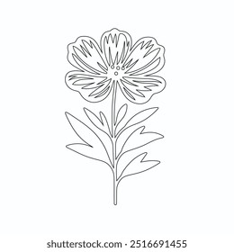 One Line Drawing of Flower Vector, Botanical arts. Hand drawn continuous line drawing of abstract flower, Floral set, illustration, design. Outline drawing. Simple cartoon flat style, linear sketch
