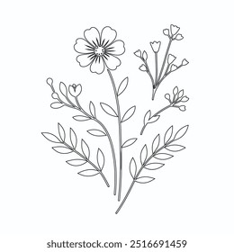 One Line Drawing of Flower Vector, Botanical arts. Hand drawn continuous line drawing of abstract flower, Floral set, illustration, design. Outline drawing. Simple cartoon flat style, linear sketch