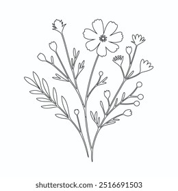 One Line Drawing of Flower Vector, Botanical arts. Hand drawn continuous line drawing of abstract flower, Floral set, illustration, design. Outline drawing. Simple cartoon flat style, linear sketch
