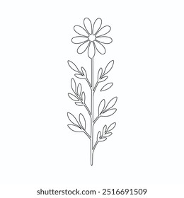 One Line Drawing of Flower Vector, Botanical arts. Hand drawn continuous line drawing of abstract flower, Floral set, illustration, design. Outline drawing. Simple cartoon flat style, linear sketch
