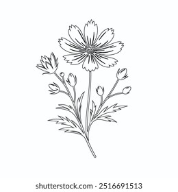 One Line Drawing of Flower Vector, Botanical arts. Hand drawn continuous line drawing of abstract flower, Floral set, illustration, design. Outline drawing. Simple cartoon flat style, linear sketch