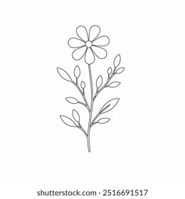 One Line Drawing of Flower Vector, Botanical arts. Hand drawn continuous line drawing of abstract flower, Floral set, illustration, design. Outline drawing. Simple cartoon flat style, linear sketch