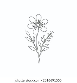 One Line Drawing of Flower Vector, Botanical arts. Hand drawn continuous line drawing of abstract flower, Floral set, illustration, design. Outline drawing. Simple cartoon flat style, linear sketch