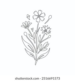 Dibujo de una línea de Vector de flores, artes botánicas. Dibujado a mano línea continua de dibujo de la flor abstracta, conjunto floral, ilustración, diseño. Dibujo de contorno. Estilo plano de dibujos animados simple, boceto lineal