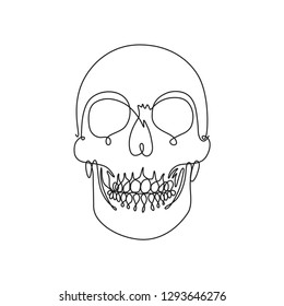 One line drawing front view human skull vector illustration