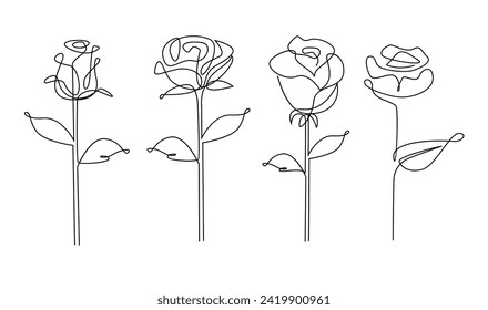 One line drawing. Garden rose with leaves. Hand drawn sketch. template