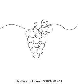 One line drawing grape fruits. Single outline organic nature food. Vector illustration isolated. Minimalist design handdrawn.