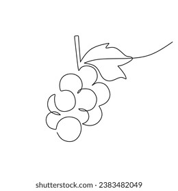 One line drawing grape fruits. Single outline organic nature food. Vector illustration isolated. Minimalist design handdrawn.