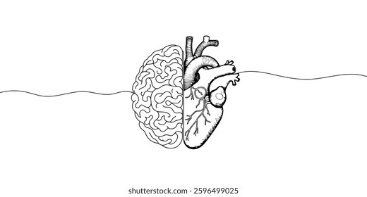 One line drawing half