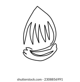 dibujo de una línea de Hazelnut