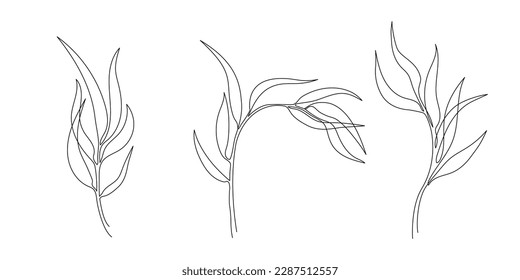 One line drawing of leaves, branches, flowers. Continuous line drawing of eucalyptus leaves set. Floral single line poster. Contour drawing of plants. Abstract line art branch in modern linear style