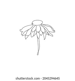One line drawing of leaves and flower continuous line art