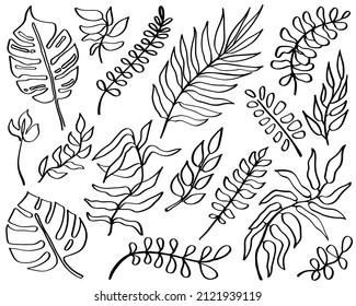 One line drawing leaves set in doodle style. Lineart hand drawn black plants. Modern exotic botanical illustrations. Monstera, palm tropical leaf.