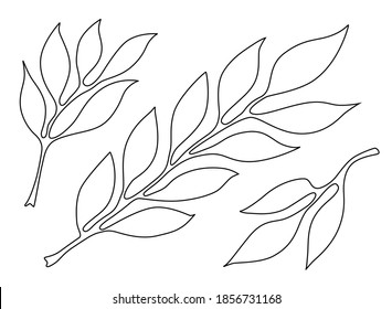 Minimalist Abstract Background Outline Leaves Stock Vector (Royalty ...