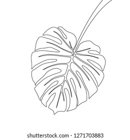 One line drawing monstera branch leaf. Continuous line exotic tropical plant.