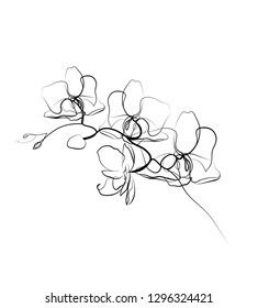 One line drawing orchid sketch.Modern single line art, aesthetic contour. Perfect for home decor such as posters, wall art, tote bag, t-shirt print, sticker