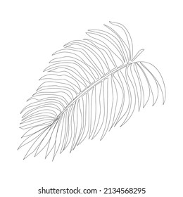 One line drawing palm leave isolated on white background. Elegant thin lines. Vector illustration.