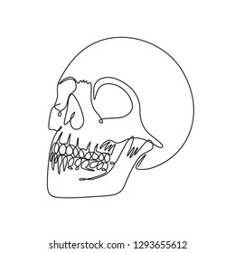 One line drawing perspective view human skull vector illustration