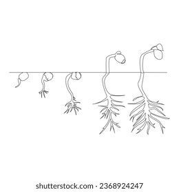 One line drawing Plant growth processing illustration