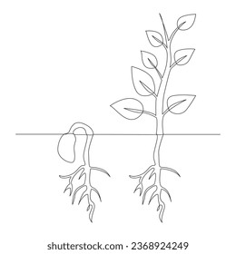 One line drawing Plant growth processing illustration