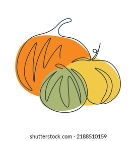 One line drawing pumpkin. Three pumpkins in continuous single line. Autumn Halloween pumpkin in one line. Contour or silhouette vegetable. Flat vector doodle illustration in minimalistic style.