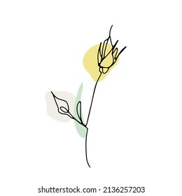 Se levanta un dibujo de línea. Flor de línea simple dibujada a mano con fondo abstracto neutro de formas