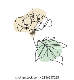 Se levanta un dibujo de línea. Flor de línea simple dibujada a mano con fondo abstracto neutro de formas