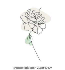 One line drawing rose. Hand drawn single line flower with neutral abstract shapes background