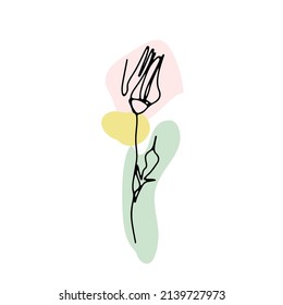One line drawing rose. Hand drawn single line flower with neutral abstract shapes background