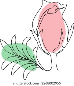Un dibujo de una rosa. Ilustración del vector
