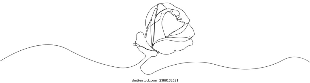 One line drawing Rose vector. Rose flower single line vector linear icon. Rose logo outline line design.Vector illustration Rose.