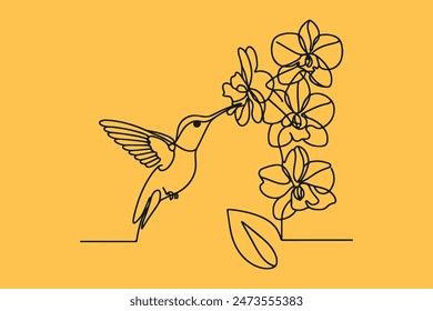 one line drawing of a Ruby-throated Hummingbird with Orchid flowers