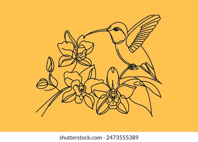 one line drawing of a Ruby-throated Hummingbird with Orchid flowers