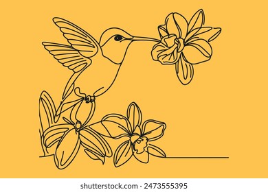one line drawing of a Ruby-throated Hummingbird with Orchid flowers