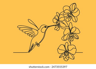 one line drawing of a Ruby-throated Hummingbird with Orchid flowers