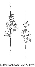 One line drawing. Set of gardens peony with long stem and leaves. Hand drawn sketch. Vertical Border design elements. Vector illustration.
