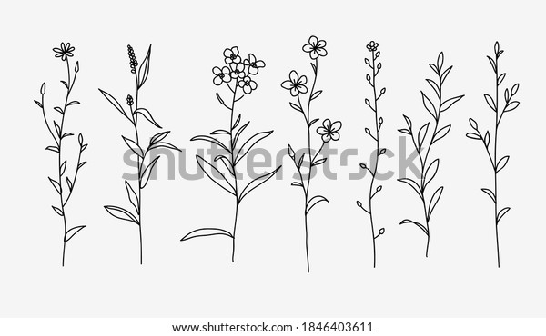 One line drawing. Set of herbs and\
wild flowers. Hand drawn sketch. Vector\
illustration.