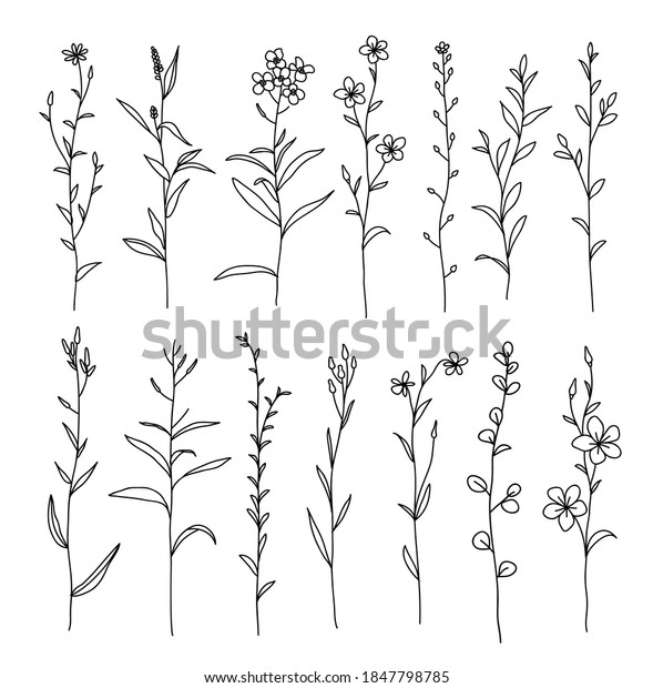 One line drawing. Set of herbs and\
wild flowers. Hand drawn sketch. Vector\
illustration.