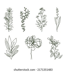 One Line Drawing Set Of Plants Black Sketch of Flowers Isolated on White Background. Flowers One Line Illustration. Minimalist Prints Set. Vector. Modern Single Line Art, Aesthetic Contour.