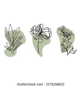 One Line Drawing Set Of Plants Black Sketch of Flowers Isolated on White Background. Flowers One Line Illustration with blot. Minimalist Prints Set. Vector. Modern Single Line Art, Aesthetic Contour.
