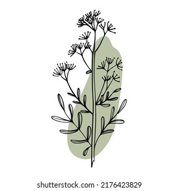 One Line Drawing Set Of Plants Black Sketch of Flowers Isolated on White Background. Flowers One Line Illustration with blot. Minimalist Prints Set. Vector. Modern Single Line Art, Aesthetic Contour.