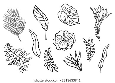 One line drawing set with tropical leaves and flowers. Abstract minimalistic style plants. Botanical elements. Vector illustration for posters, cards, textile, logo.

