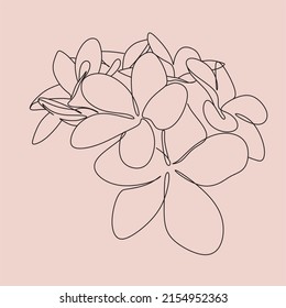 One Line Drawing Set Of Vector Tropical Flowers. Botanical Poster. Modern Single Line Art, Aesthetic Outline. Continuous Line Drawing Strelitzia, Plumeria, Heliconia Palm Tree And Monstera