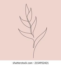 One Line Drawing Set Of Vector Tropical Flowers. Botanical Poster. Modern Single Line Art, Aesthetic Outline. Continuous Line Drawing Strelitzia, Plumeria, Heliconia Palm Tree And Monstera