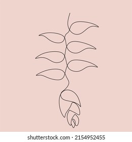 One Line Drawing Set Of Vector Tropical Flowers. Botanical Poster. Modern Single Line Art, Aesthetic Outline. Continuous Line Drawing Strelitzia, Plumeria, Heliconia Palm Tree And Monstera