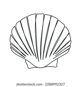 One line drawing of a shell. Hand drawn outline marine illustration of seashell.